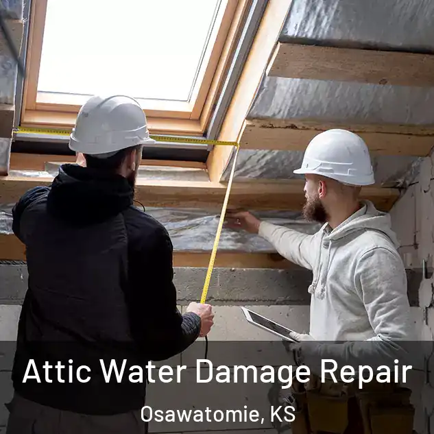  Attic Water Damage Repair Osawatomie, KS