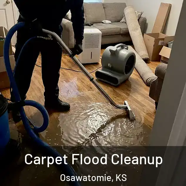  Carpet Flood Cleanup Osawatomie, KS