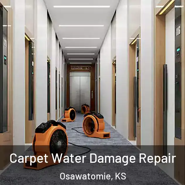  Carpet Water Damage Repair Osawatomie, KS