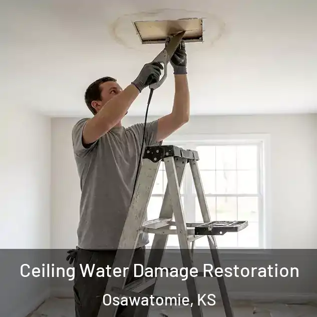  Ceiling Water Damage Restoration Osawatomie, KS