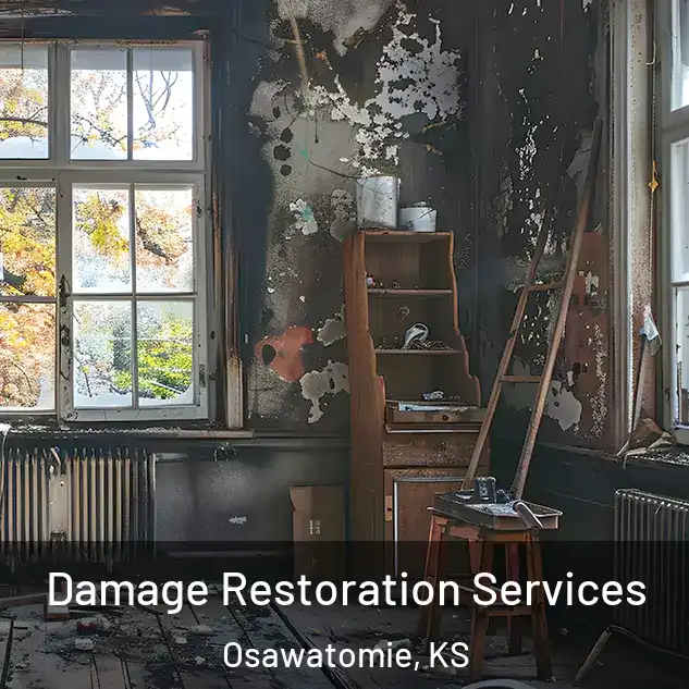  Damage Restoration Services Osawatomie, KS