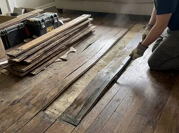 Water Damage Drying in Osawatomie