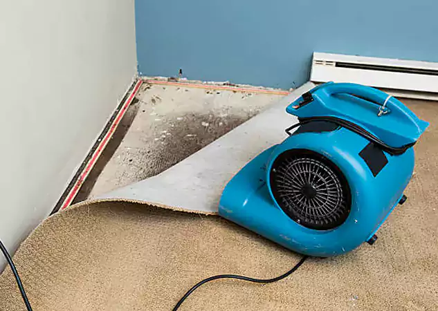 Your Water Damage Experts in Osawatomie, KS