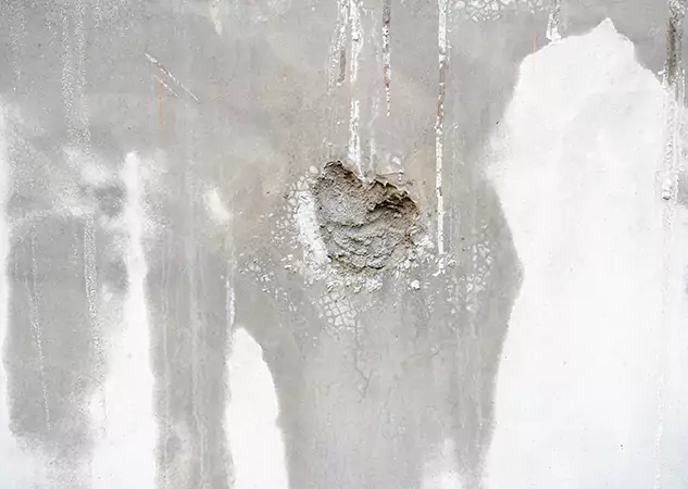Your Mold Mitigation Solutions Partner in Osawatomie, KS