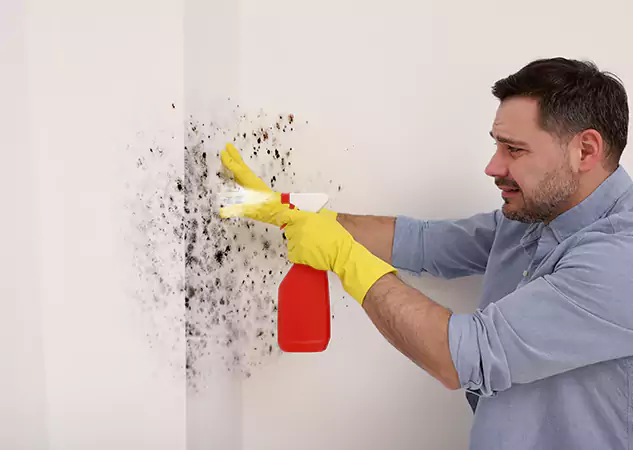 Your Water Mold Fire Restoration Partner in Osawatomie, KS