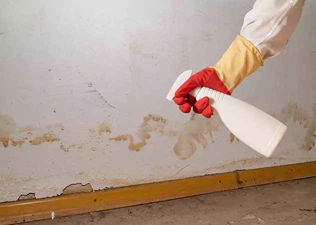 Your Water Restoration and Mold Remediation Specialists in Osawatomie, KS