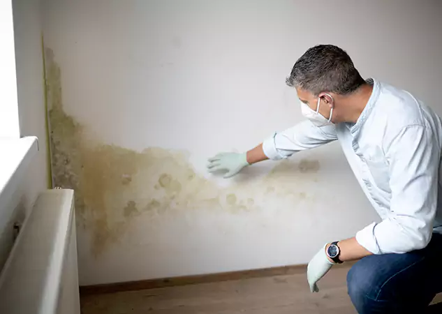 Reach Our Remediation Team Before Damage Grows in Osawatomie, KS!