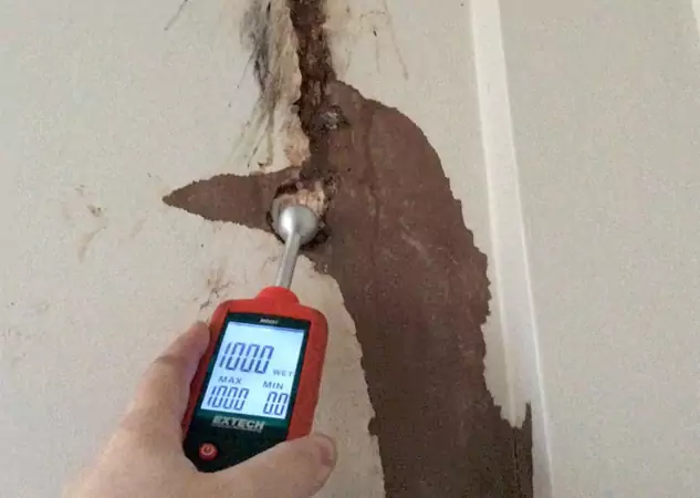 Your Water Damage Assessment Partner in Osawatomie, KS
