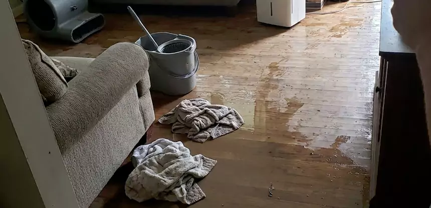 Professional Basement Water Remediation Services in Osawatomie, KS