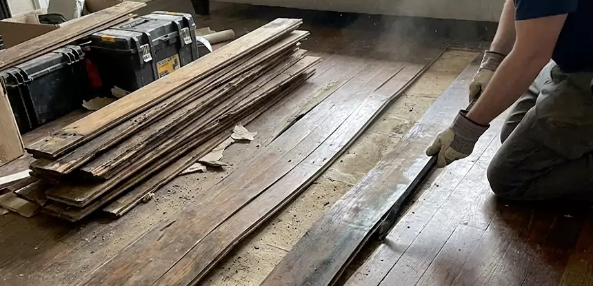 Wood Rot and Fungus Repair in Osawatomie