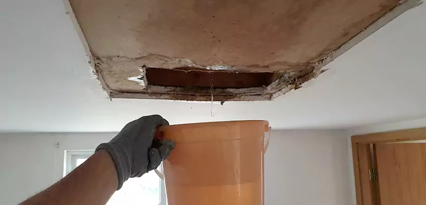 Ceiling Mold Repair Osawatomie
