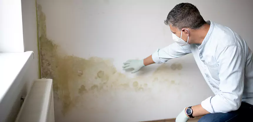 Mold and Water Damage Repair in Osawatomie