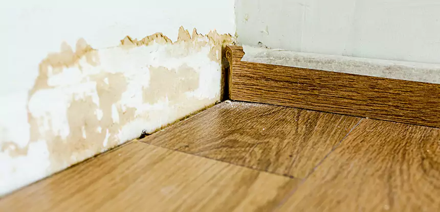 Professional Fix Water Damaged Wood Services in Osawatomie, KS