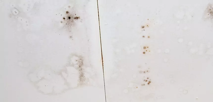 Professional Water Stain Repair Services in Osawatomie, KS