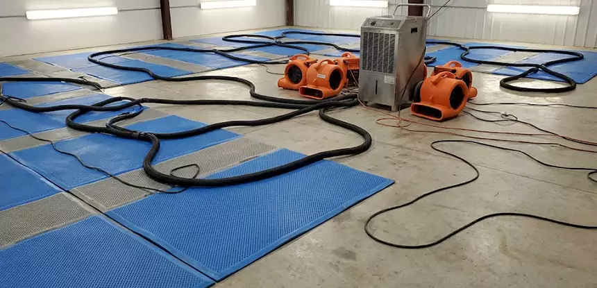 Professional Flooded Carpet Drying Services in Osawatomie, KS