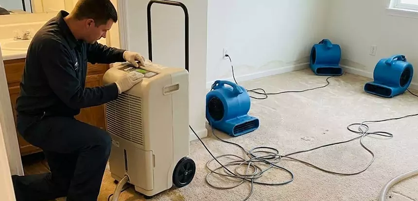 Professional Wet Carpet Removal Services in Osawatomie, KS