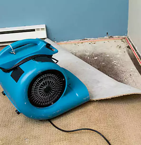 Why Osawatomie Trusts Osawatomie Restoration Pro for Carpet Flood Recovery?