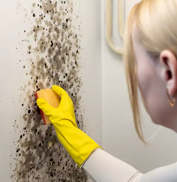 Why Osawatomie Restoration Pro Leads Mold Remediation in Osawatomie?