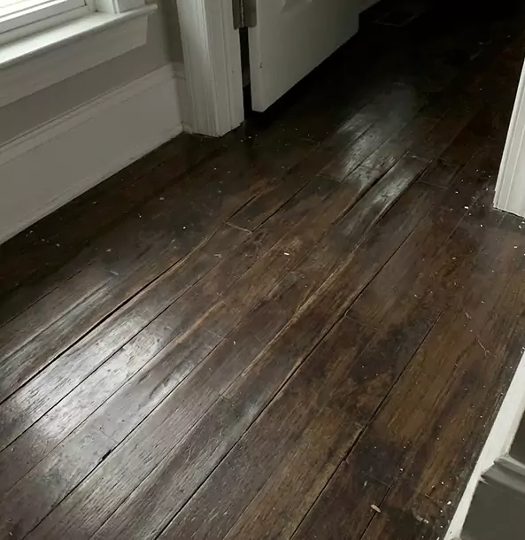 Why Osawatomie Homeowners Trust Osawatomie Restoration Pro to Fix Water Damaged Wood?