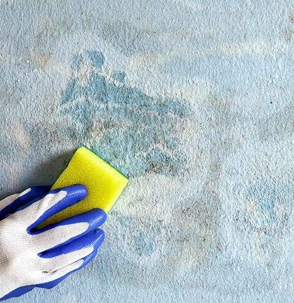 Why Osawatomie Restoration Pro Is the Right Choice in Osawatomie, KS?