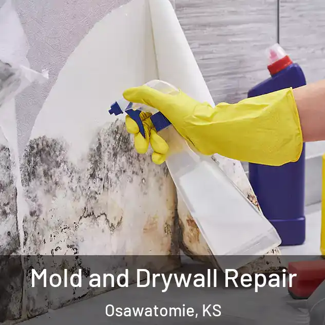  Mold and Drywall Repair Osawatomie, KS