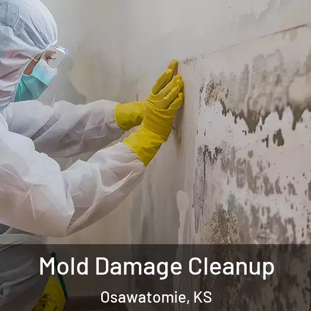  Mold Damage Cleanup Osawatomie, KS