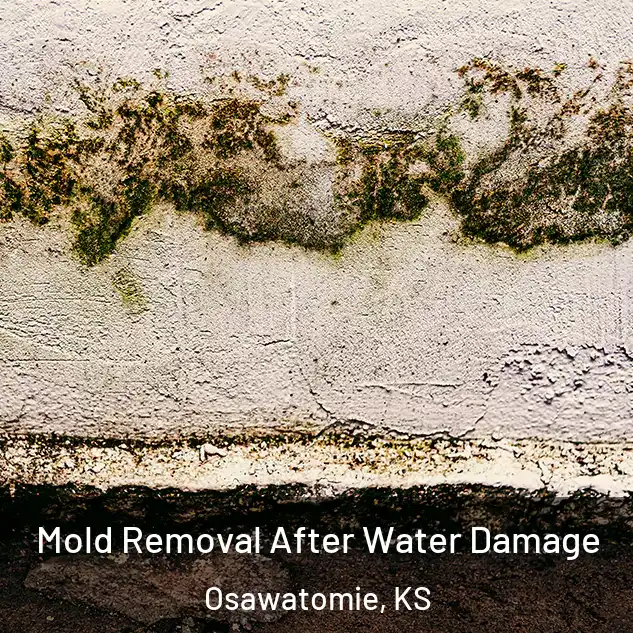  Mold Removal After Water Damage Osawatomie, KS