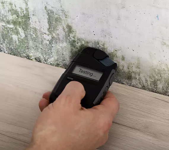 Mold Remediation Service Osawatomie