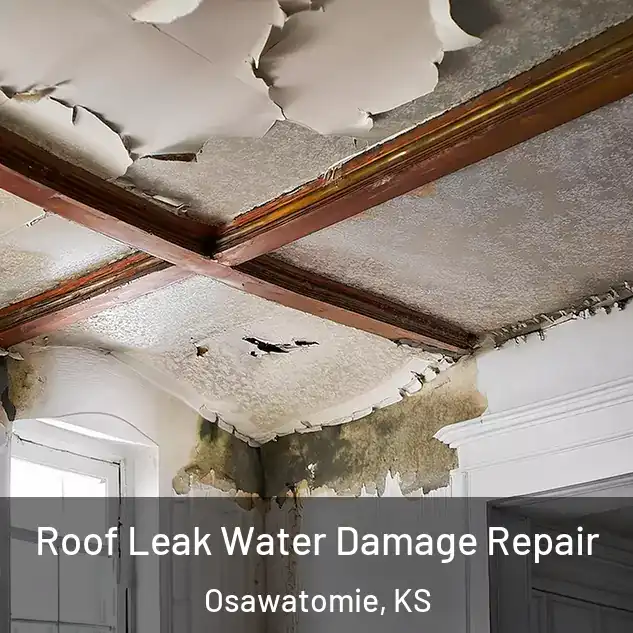  Roof Leak Water Damage Repair Osawatomie, KS