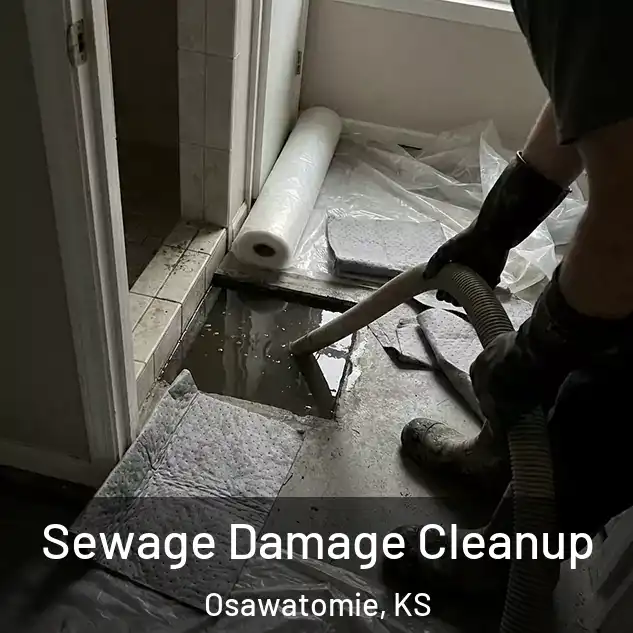  Sewage Damage Cleanup Osawatomie, KS