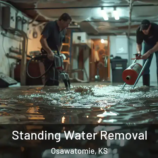  Standing Water Removal Osawatomie, KS