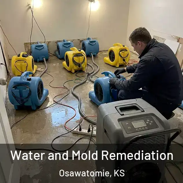  Water and Mold Remediation Osawatomie, KS