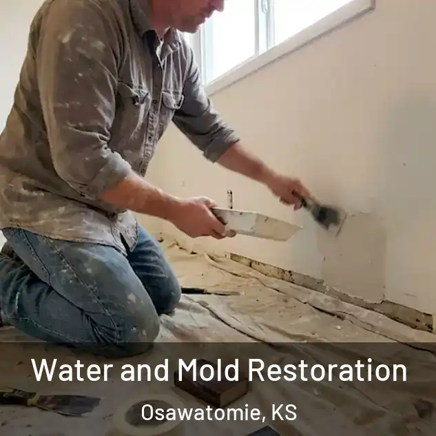  Water and Mold Restoration Osawatomie, KS