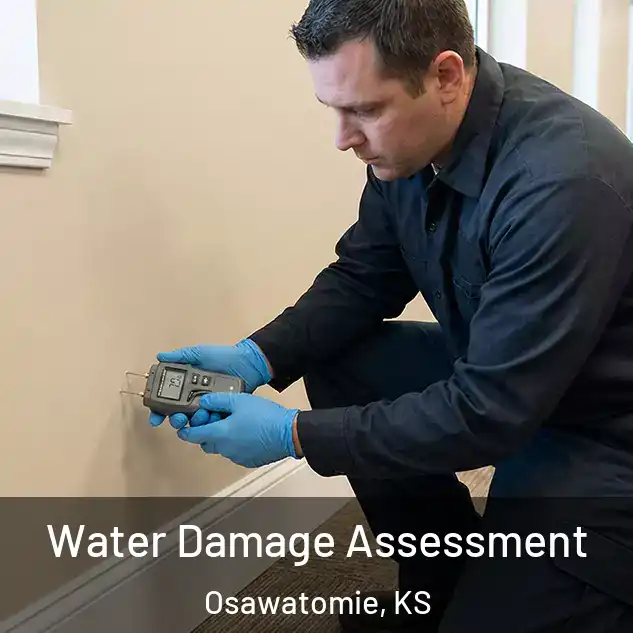  Water Damage Assessment Osawatomie, KS