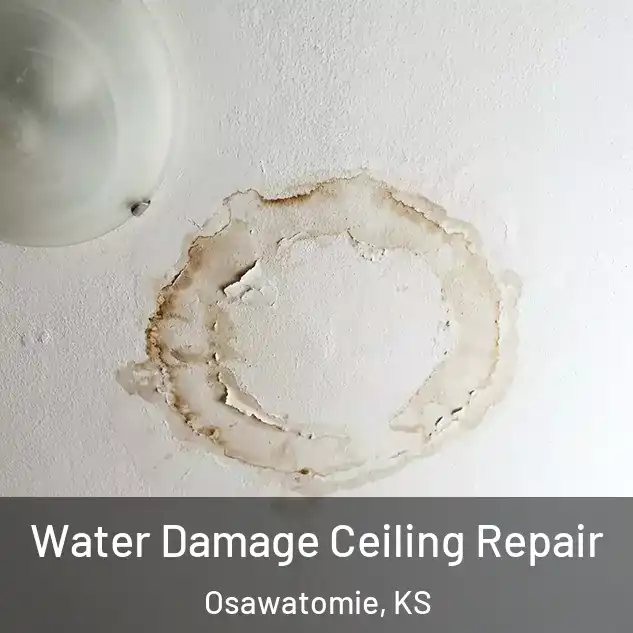  Water Damage Ceiling Repair Osawatomie, KS