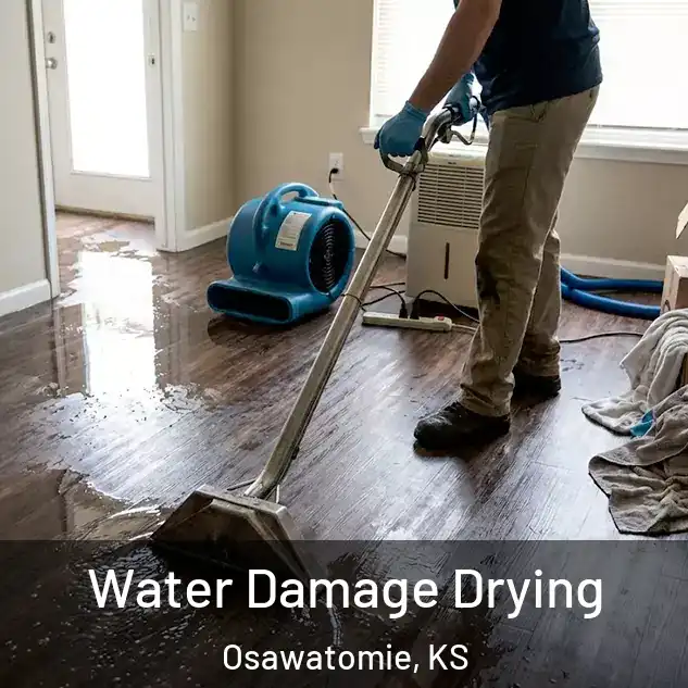  Water Damage Drying Osawatomie, KS