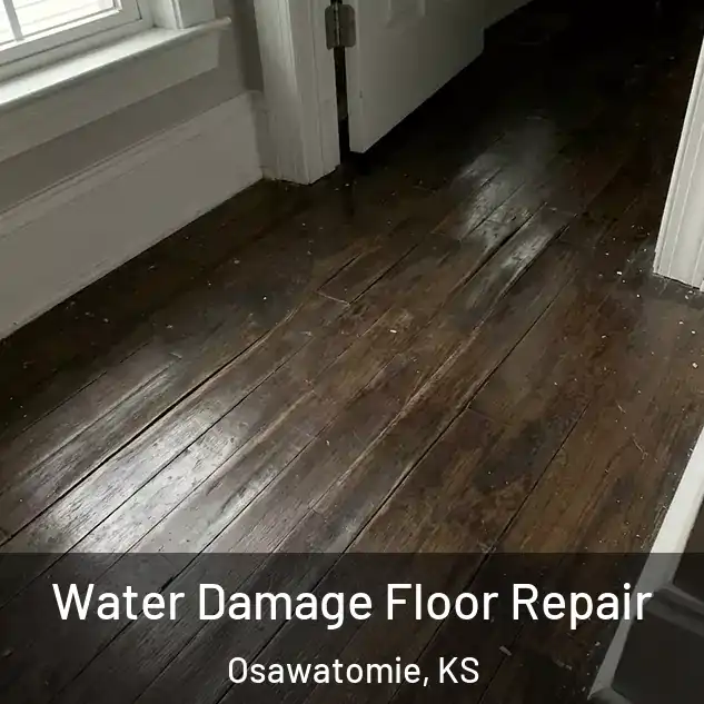  Water Damage Floor Repair Osawatomie, KS