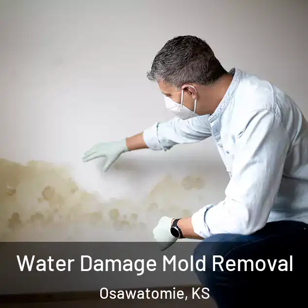 Water Damage Mold Removal Osawatomie, KS