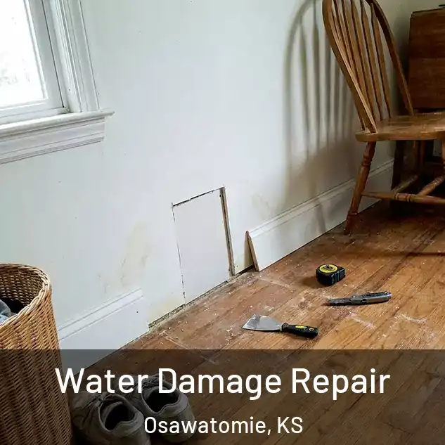  Water Damage Repair Osawatomie, KS
