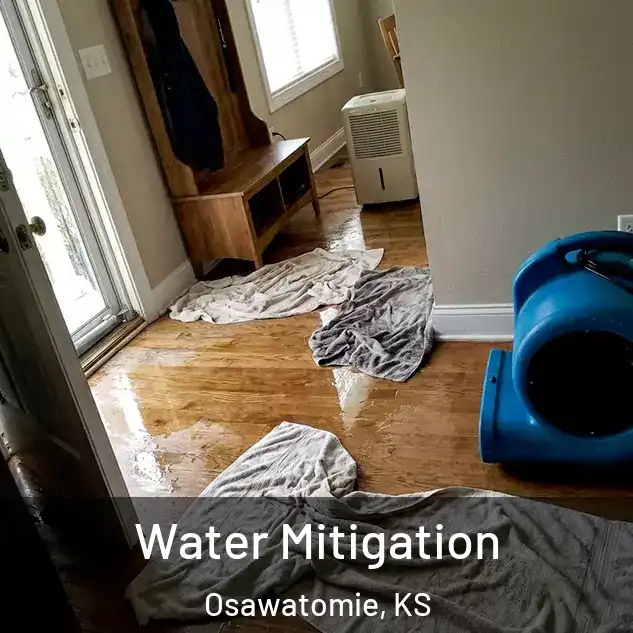  Water Mitigation Osawatomie, KS