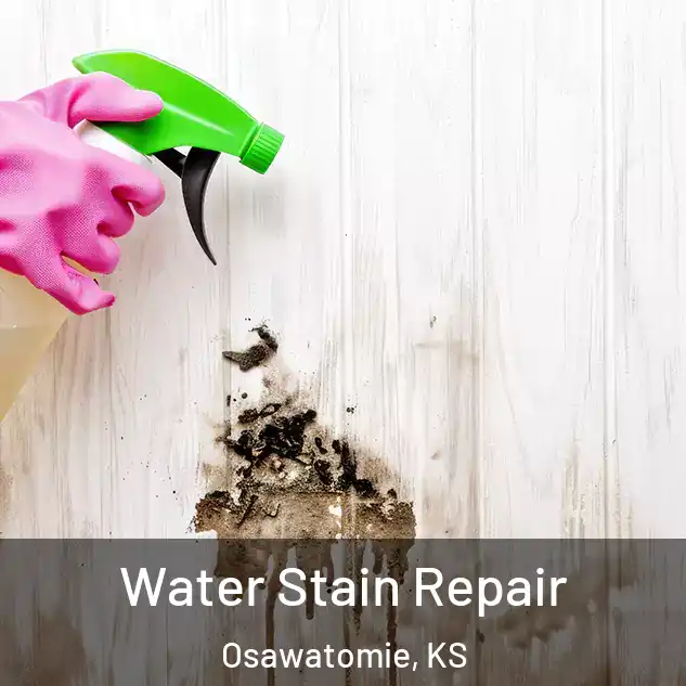  Water Stain Repair Osawatomie, KS
