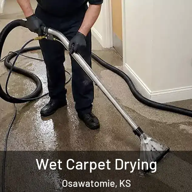  Wet Carpet Drying Osawatomie, KS