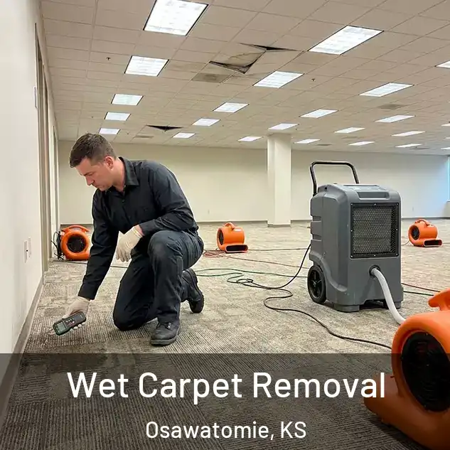  Wet Carpet Removal Osawatomie, KS